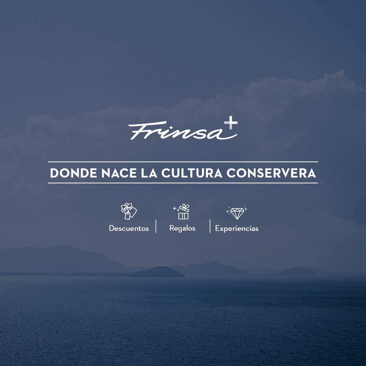 Frinsa lanza su nuevo club de fidelización
