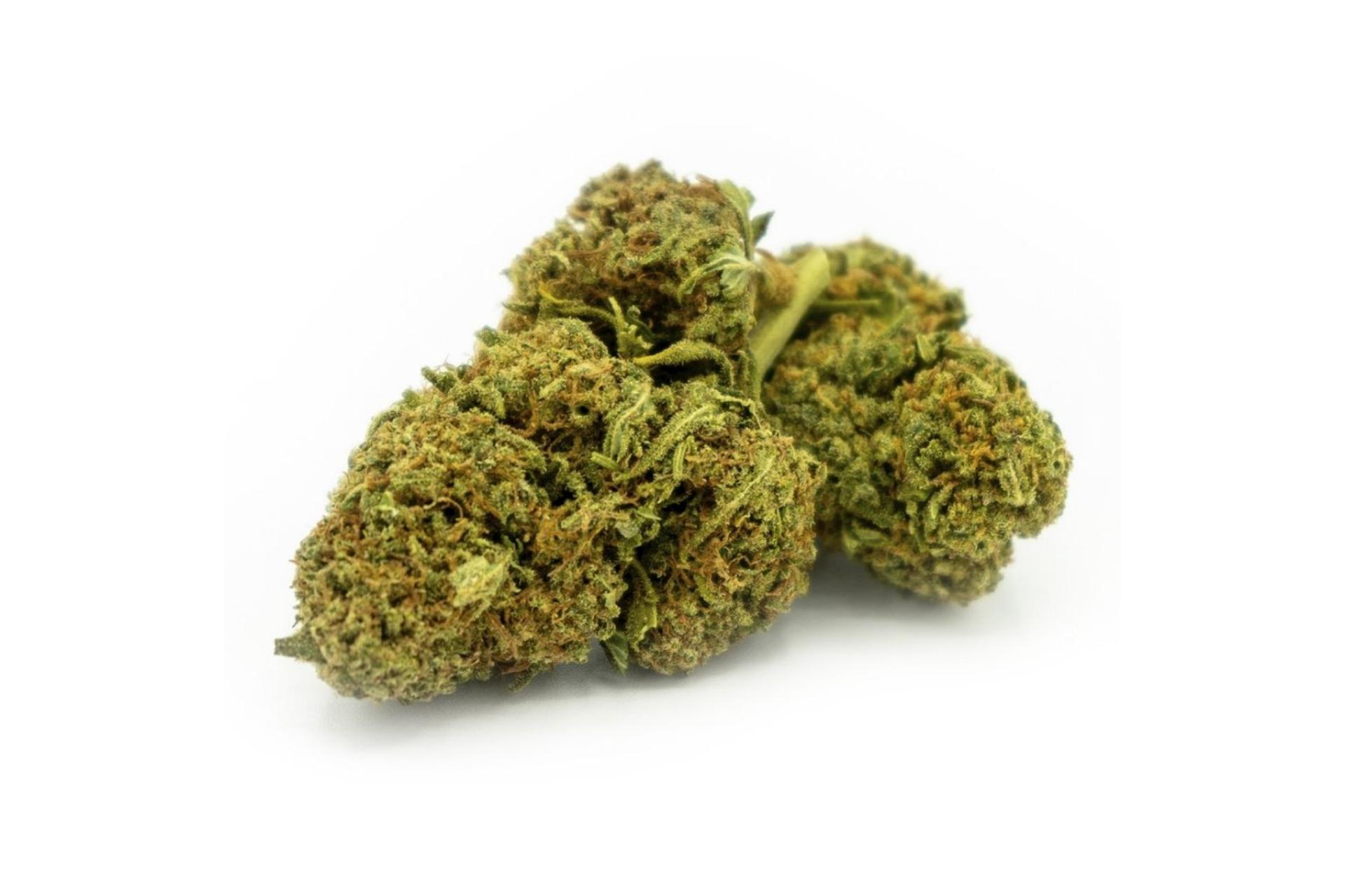 ¿Cómo son las populares flores de CBD?