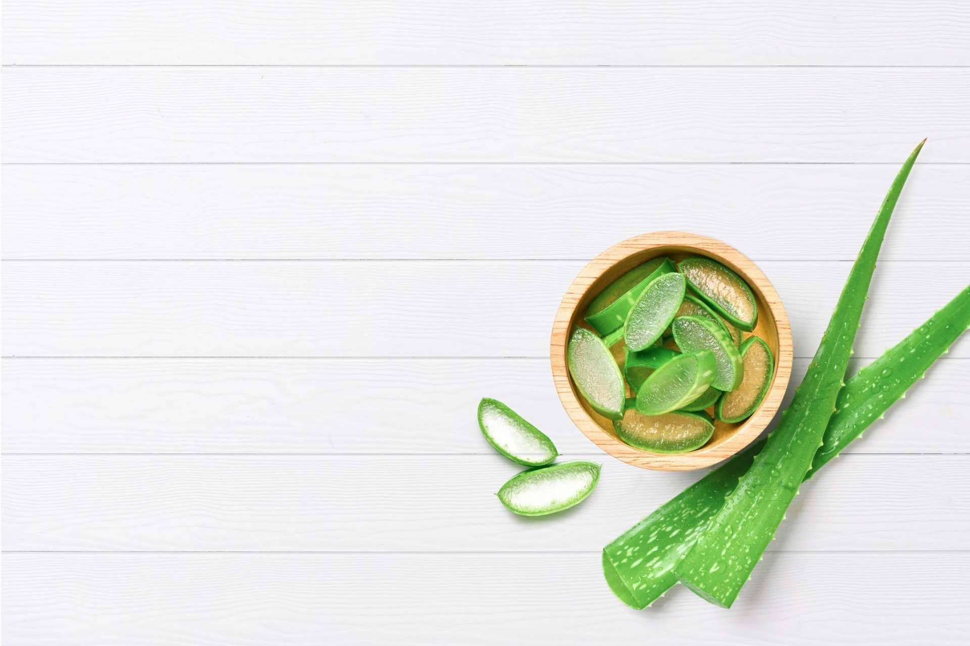 Territorio Aloe: los beneficios del aloe vera