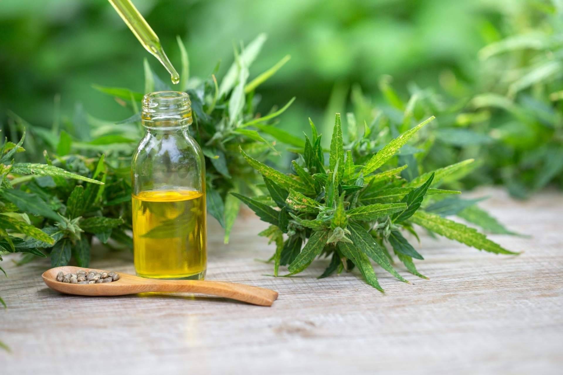 Beneficios y aplicaciones de Amnesia Hy-Pro: Premium Legal Hemp