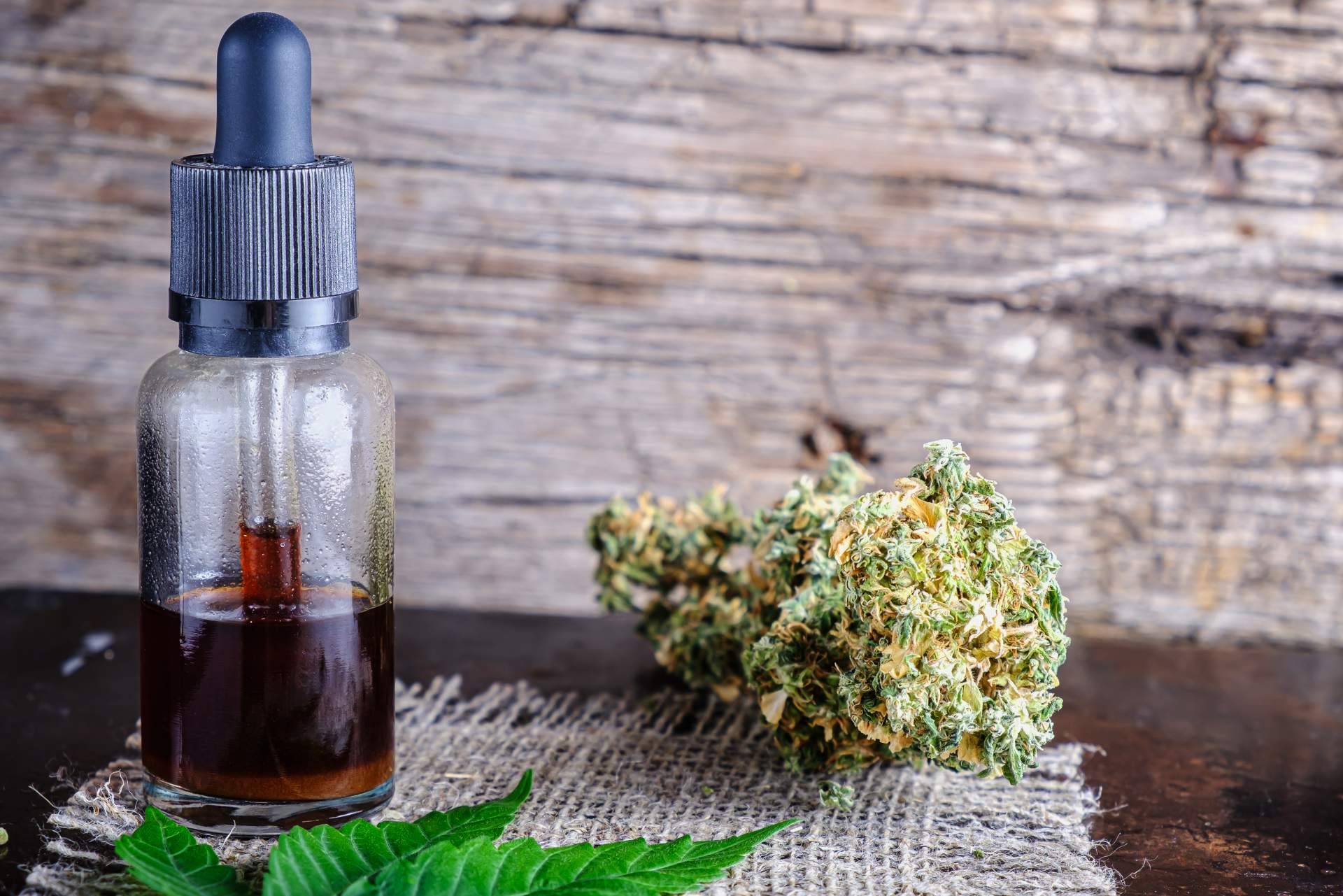 Los beneficios de la resina de cáñamo, por La Mal Querida Sativa