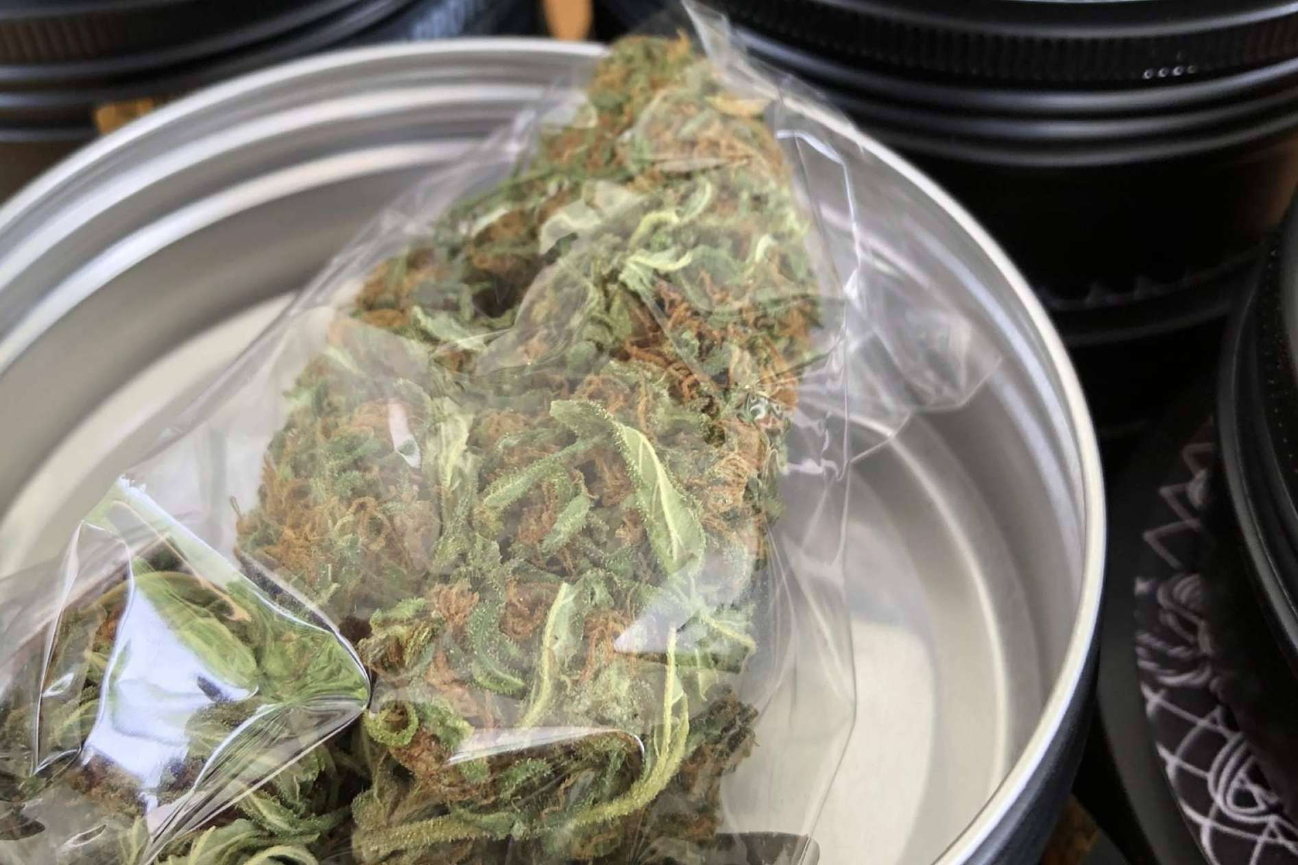 La Mal Querida Sativa: el aumento del cultivo de cáñamo en España