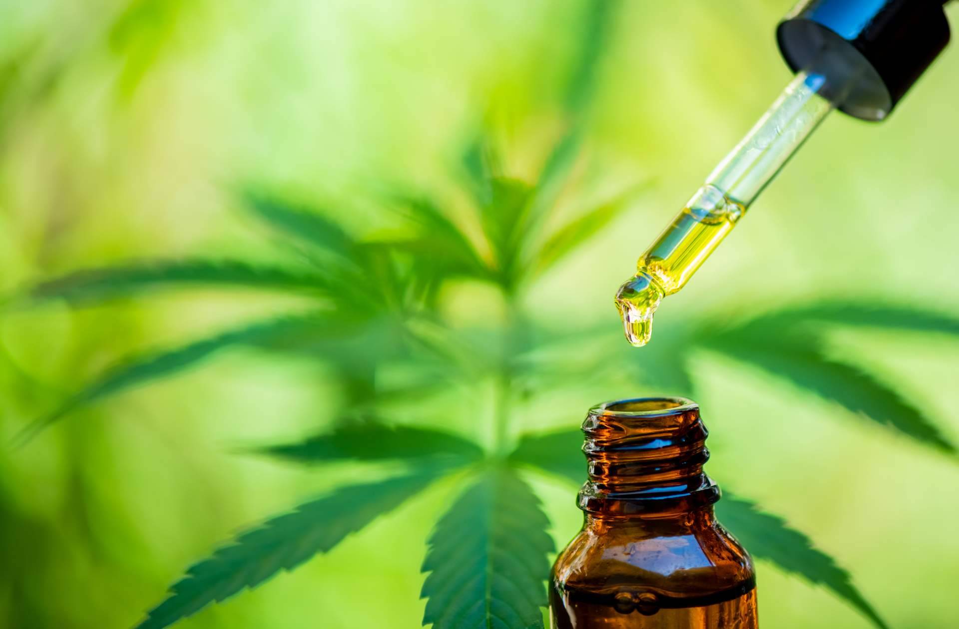 Legal Hemp ofrece aceites de CBD seguros