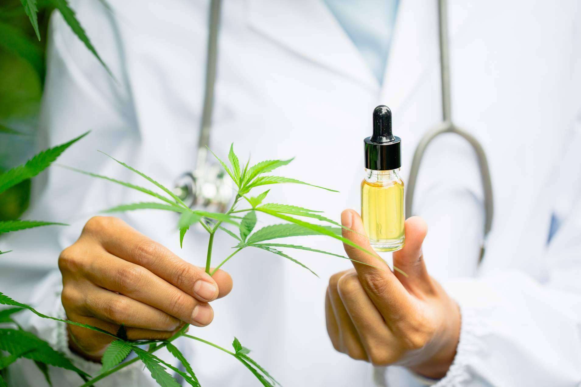 Las propiedades del CBD en los productos estrella de Legal Hemp, ¿cuáles son?