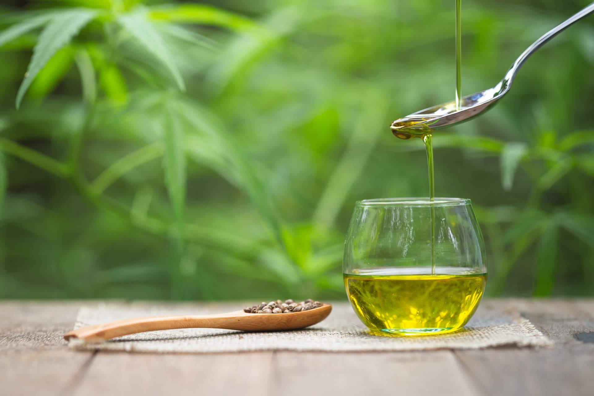 Los múltiples beneficios del aceite CBD, una de las principales opciones en medicina natural