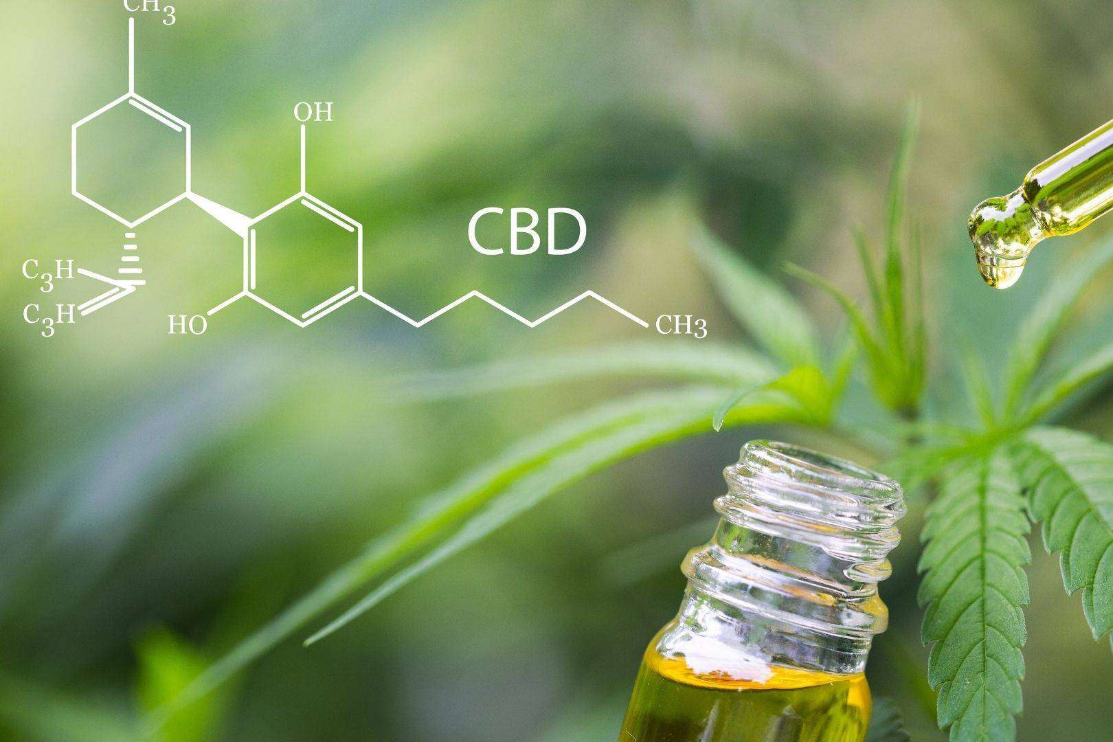 La creciente popularidad del CBD, por CrisEssens