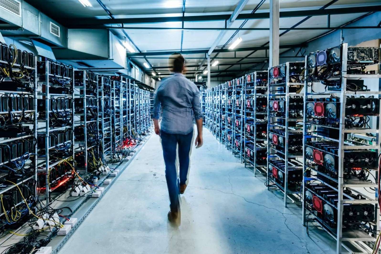 Alquiler de un espacio físico para instalar equipos para minar criptomonedas, por la compañía Mineros de Criptomonedas