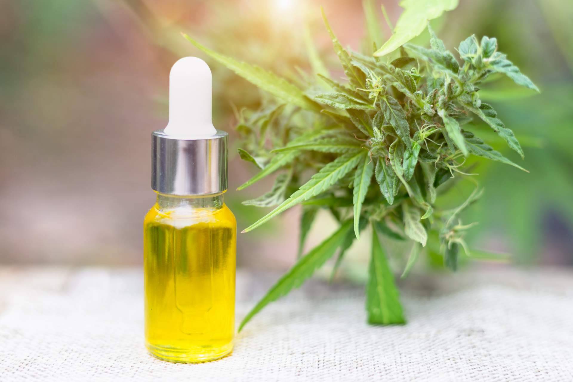 La marihuana medicinal sin THC y John Skate CBD