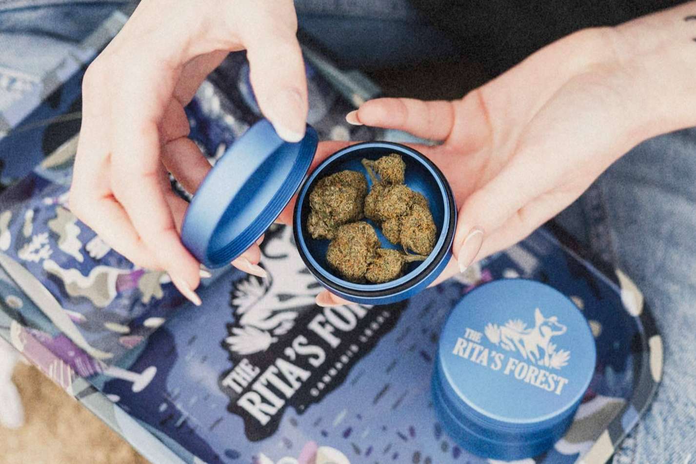 Los beneficios del CBD?, por The Rita’s Forest