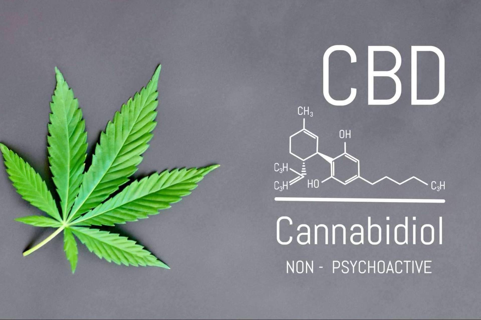 Iberian CBD presenta los principales beneficios del CBD