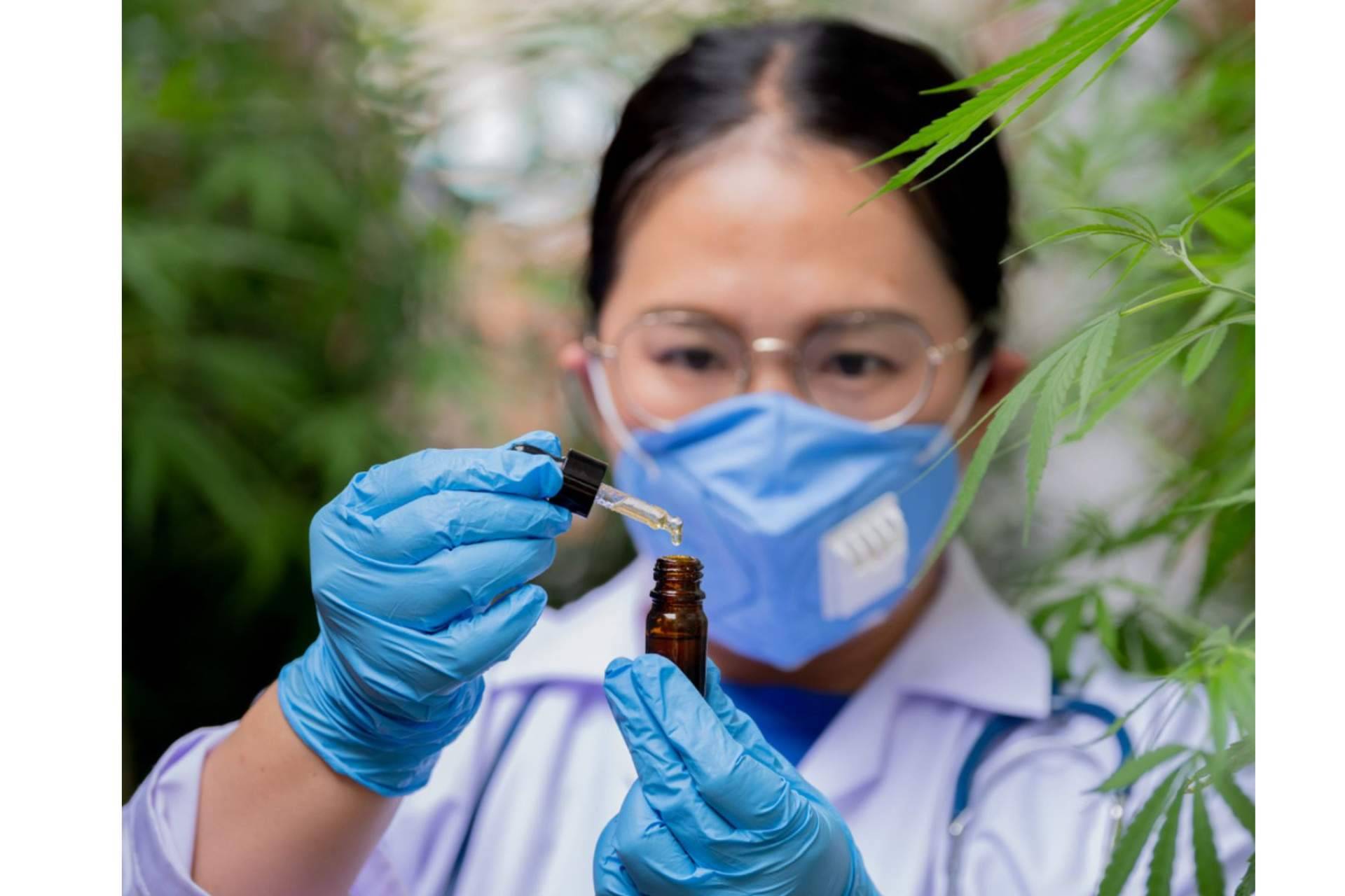 Greengos habla sobre el uso de productos de CBD para problemas de salud