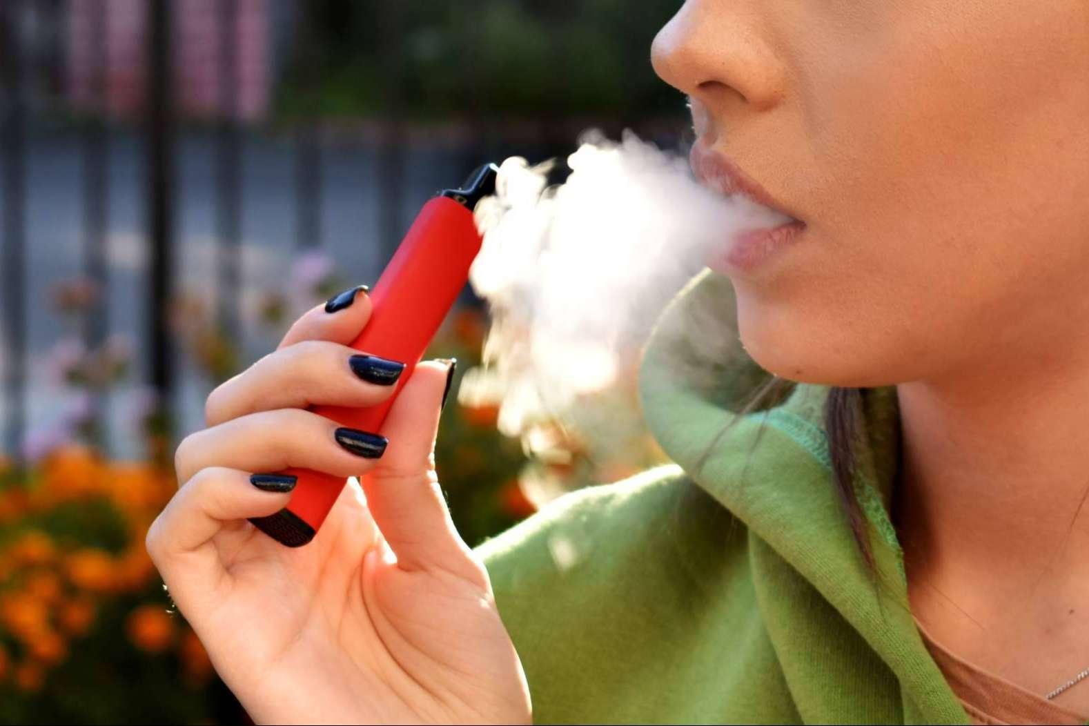 Cómo es el catálogo de VitalCigar para vapeadores