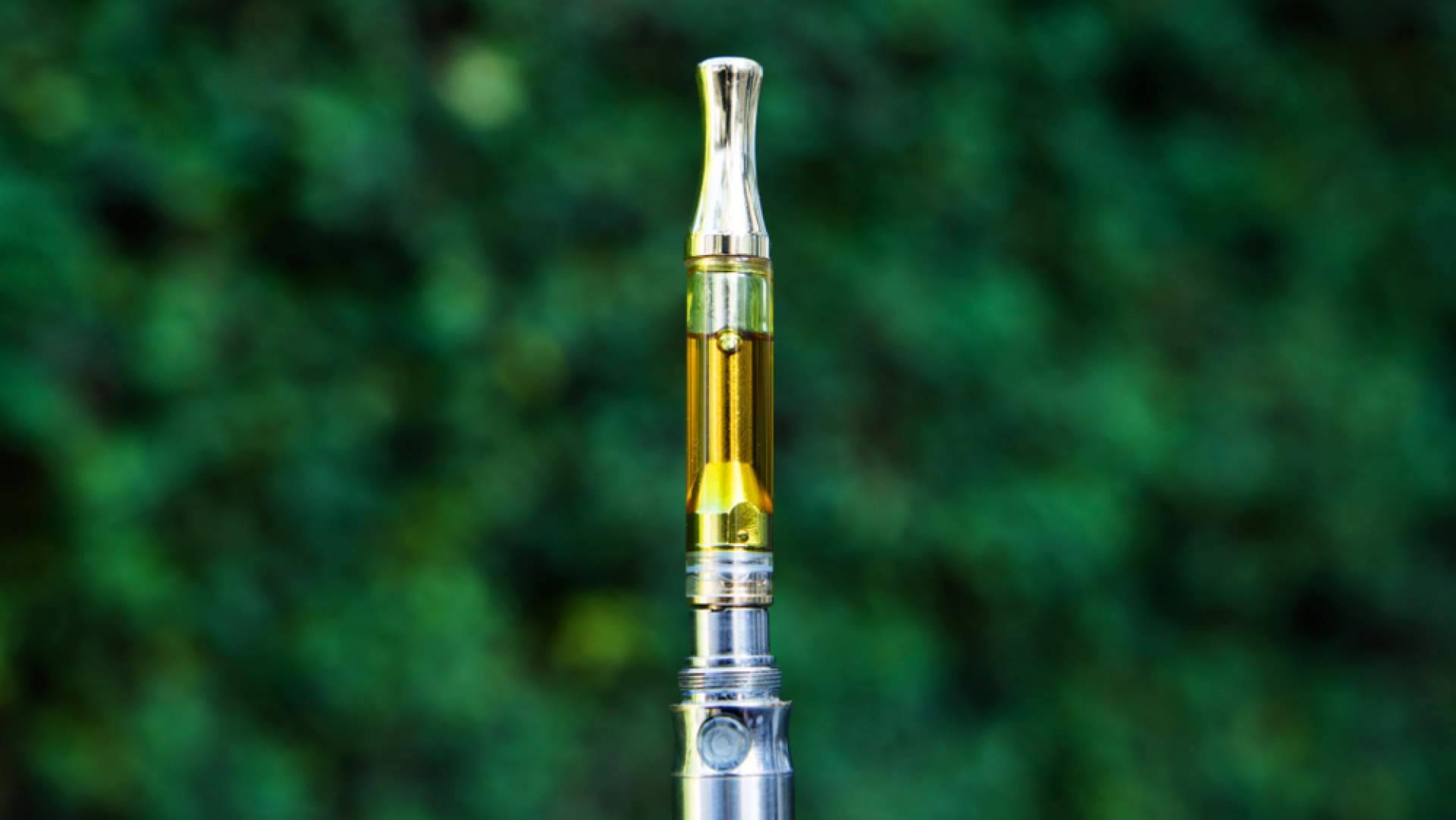 CBDrocks ofrece una gran variedad de productos orgánicos de CBD