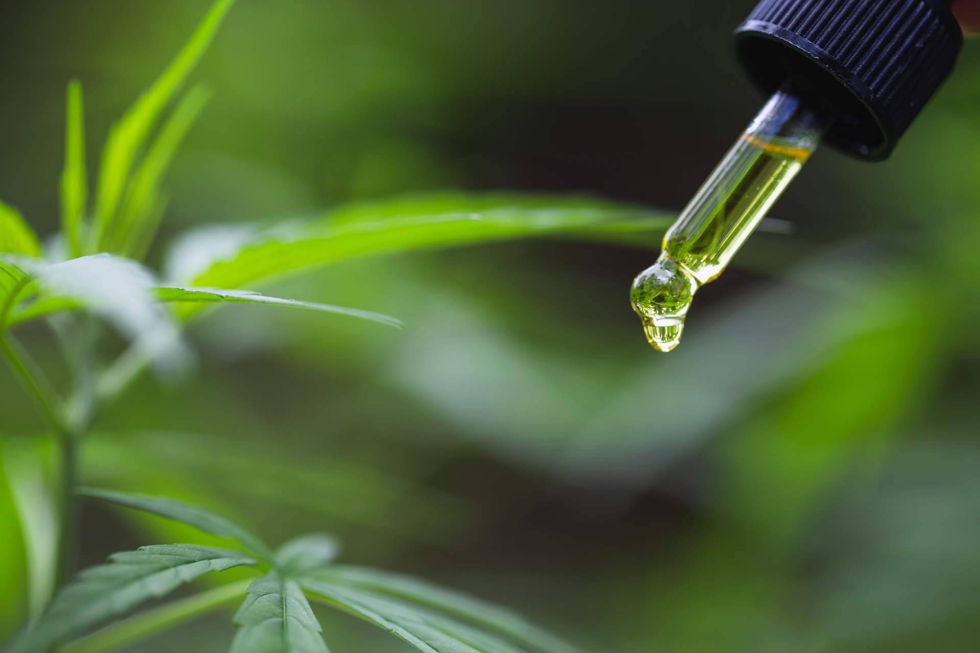 Emplear aceites de CBD para tratar la depresión, da la mano de CBD Rocks