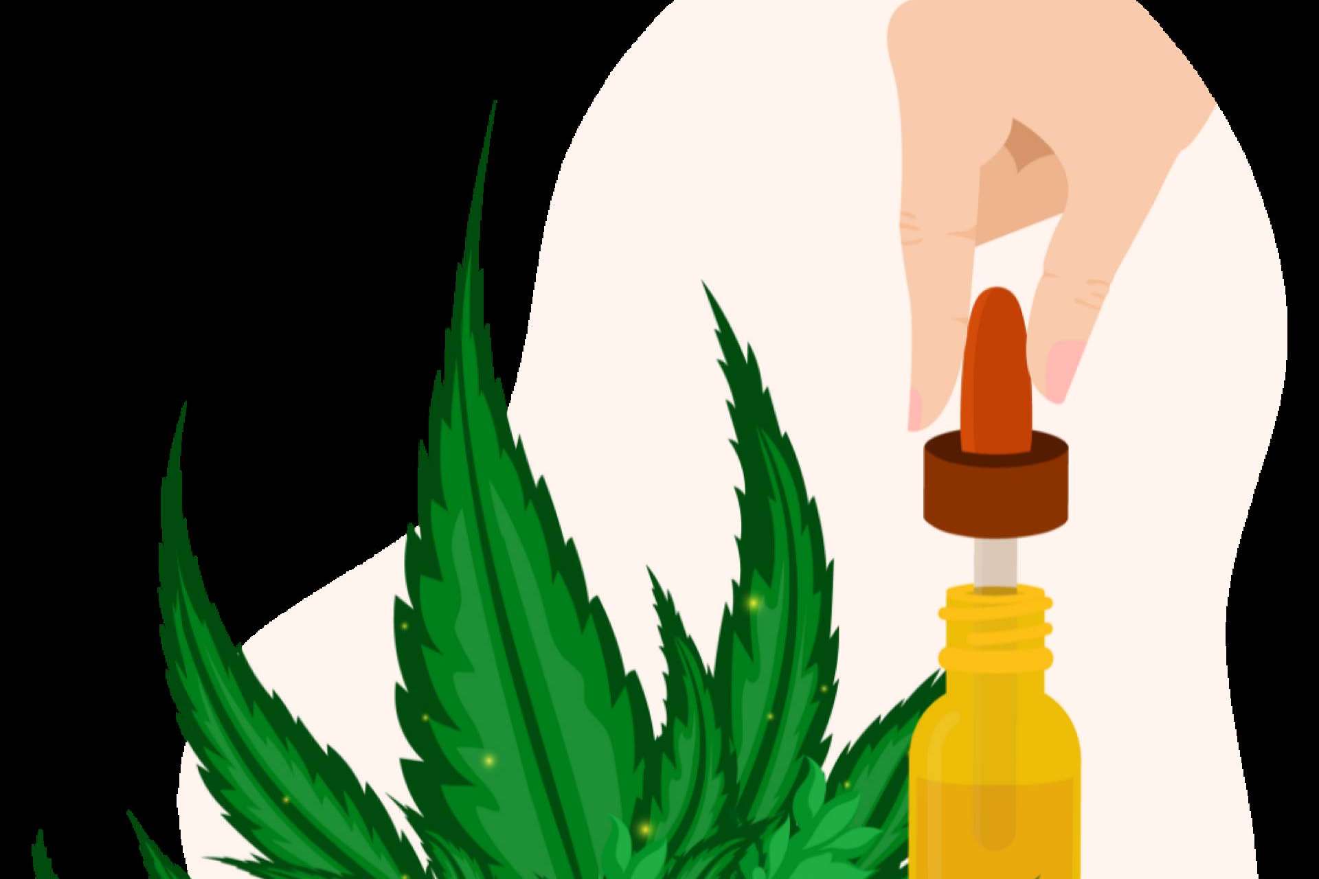 ¿Cuáles son los principales beneficios de consumir aceite de CBD? Flower Farm