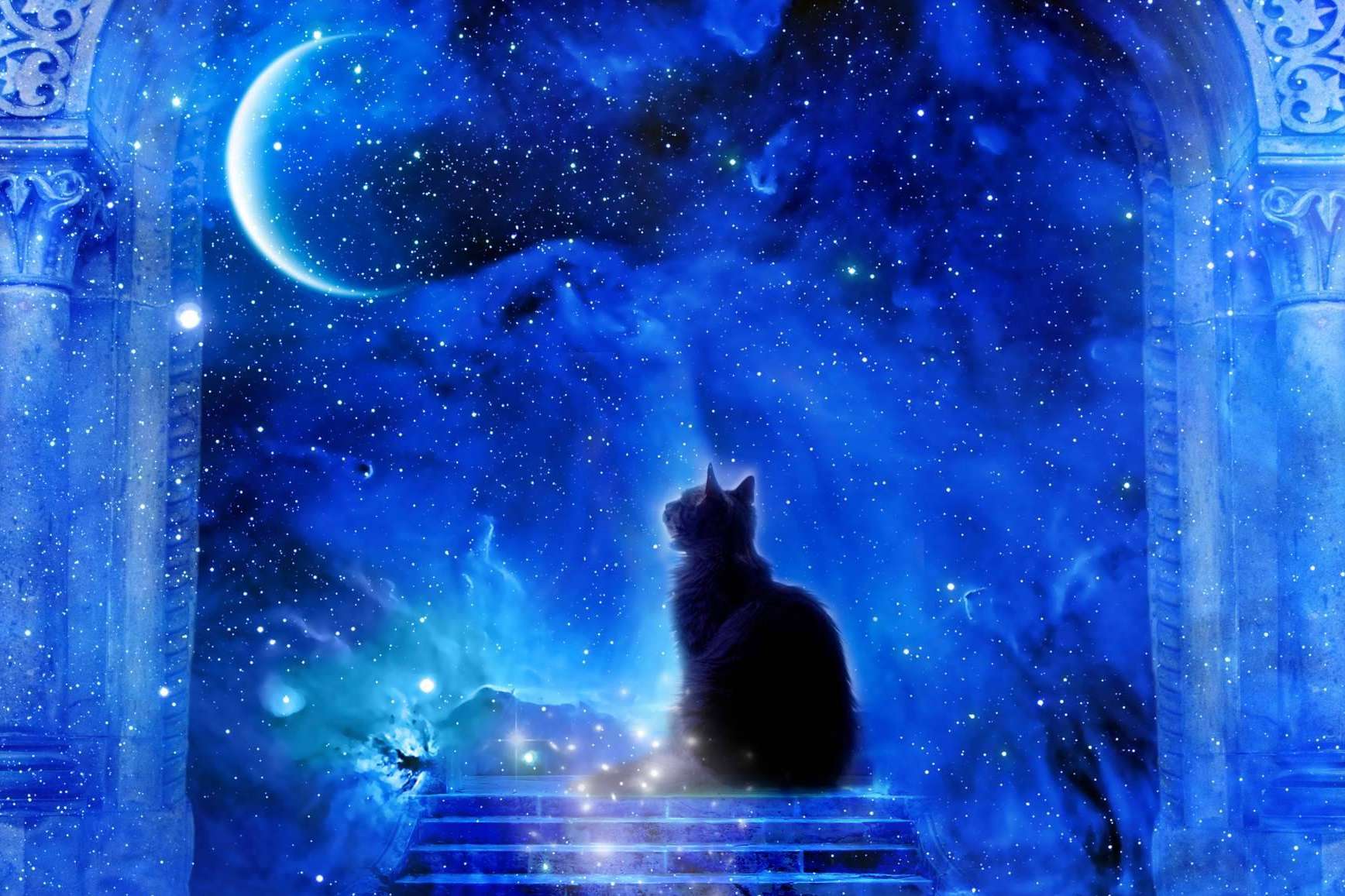 Dama Mágica, consulta de tarot gratuita de 9 a 10 horas de la noche