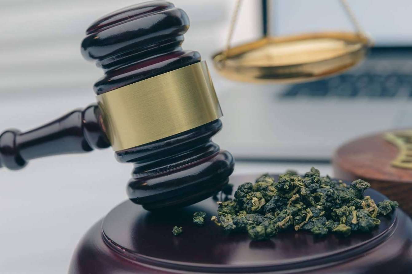 Evitar transgredir la ley vigente, la importancia de consultar con abogados especializados en CBD