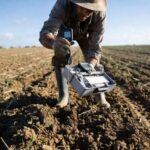 El cáñamo industrial; El cultivo sostenible que prepara el futuro agrícola